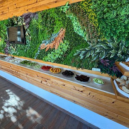 Amsterdam Boutique Hotel Kemer Bagian luar foto