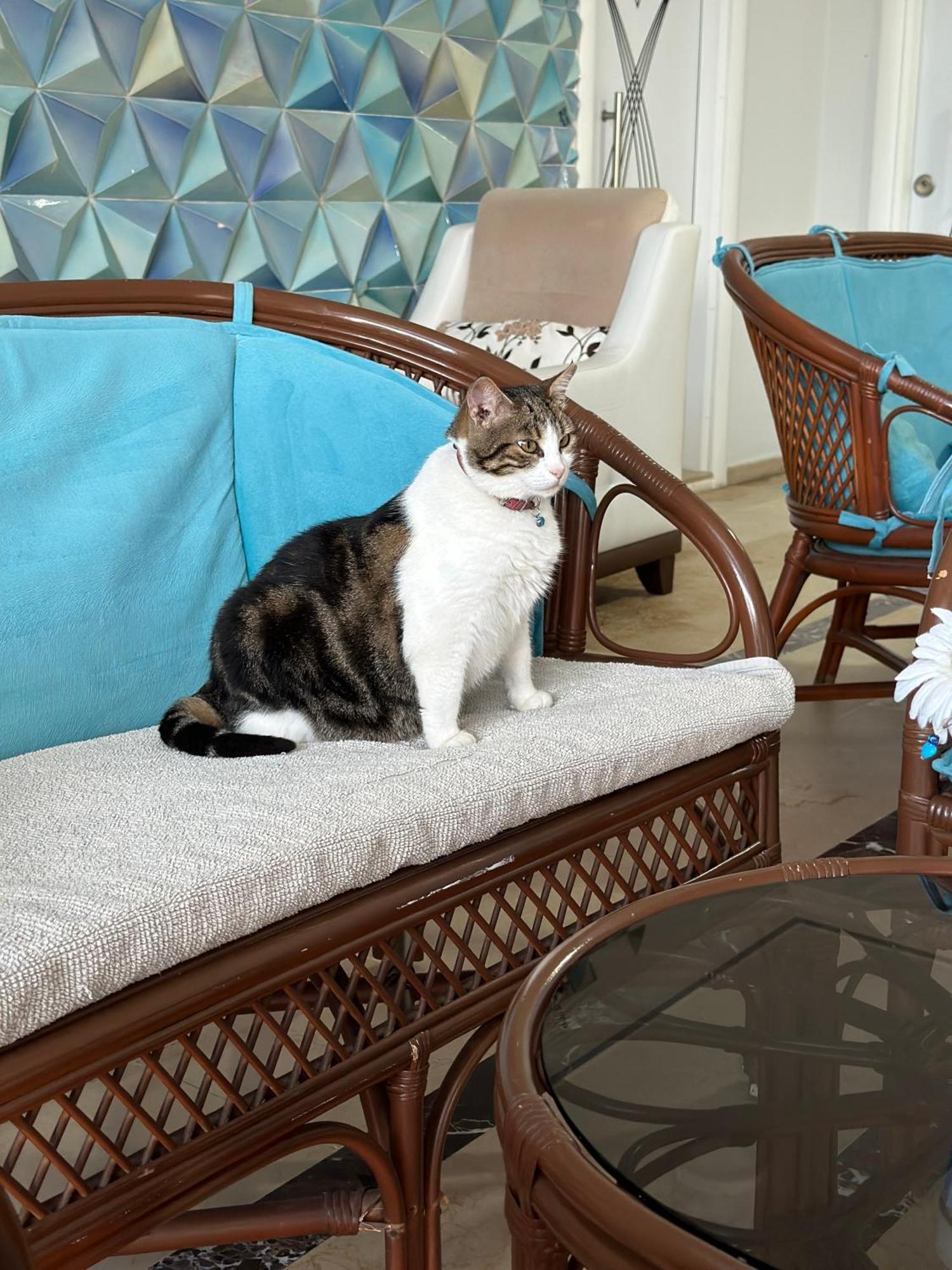 Amsterdam Boutique Hotel Kemer Bagian luar foto